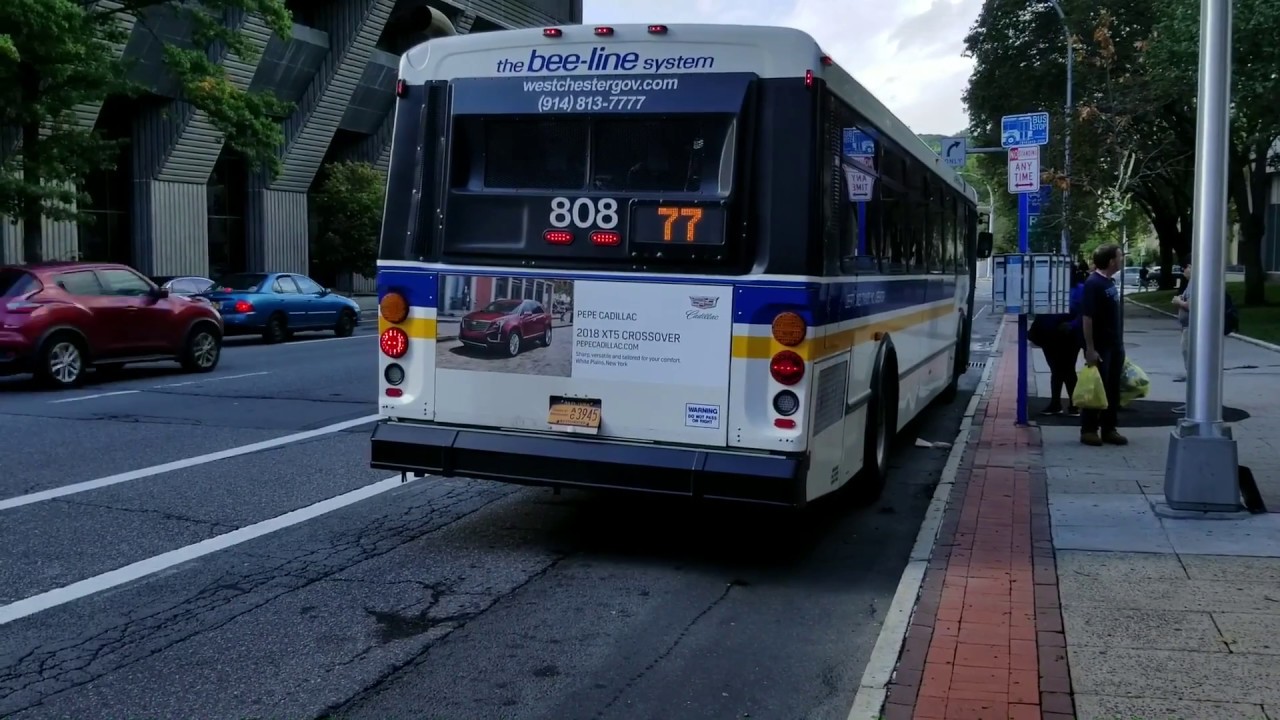 Bee-Line Bus: Various Bus Action @ Martin Luther King Blvd & Main Street