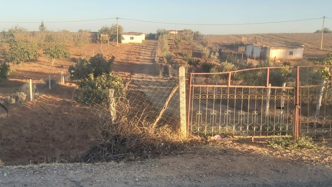3000 متر مربع في مقام الطلبة بمنزل بلدي وبءر وغير ب 20 مليون سنتيم