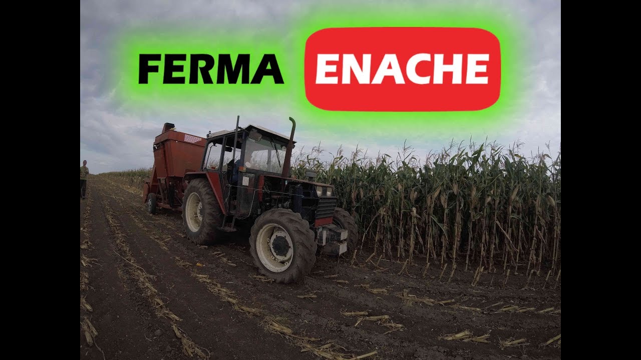EP:237 La cules prima zi zmaj 214 si utb 683