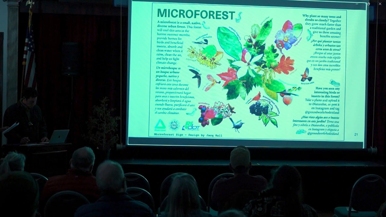 Miyawaki Micro Forests in Rhode Island