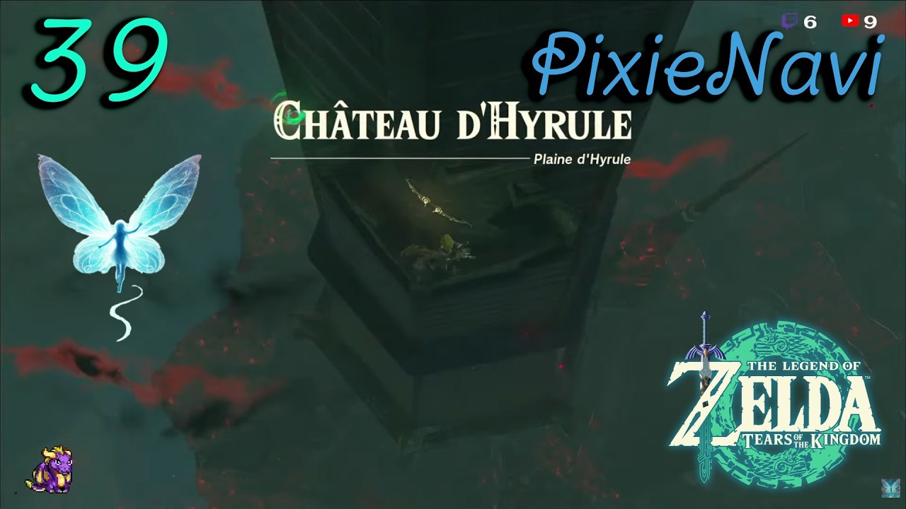 Zelda Tears of the Kingdom (39) : Les élections d'Elimith