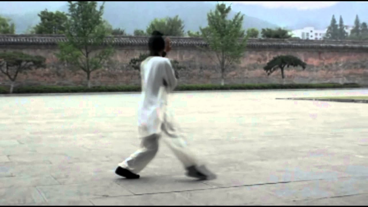 Wu Dang Ba Gua Zhang 八卦掌--谈善魁