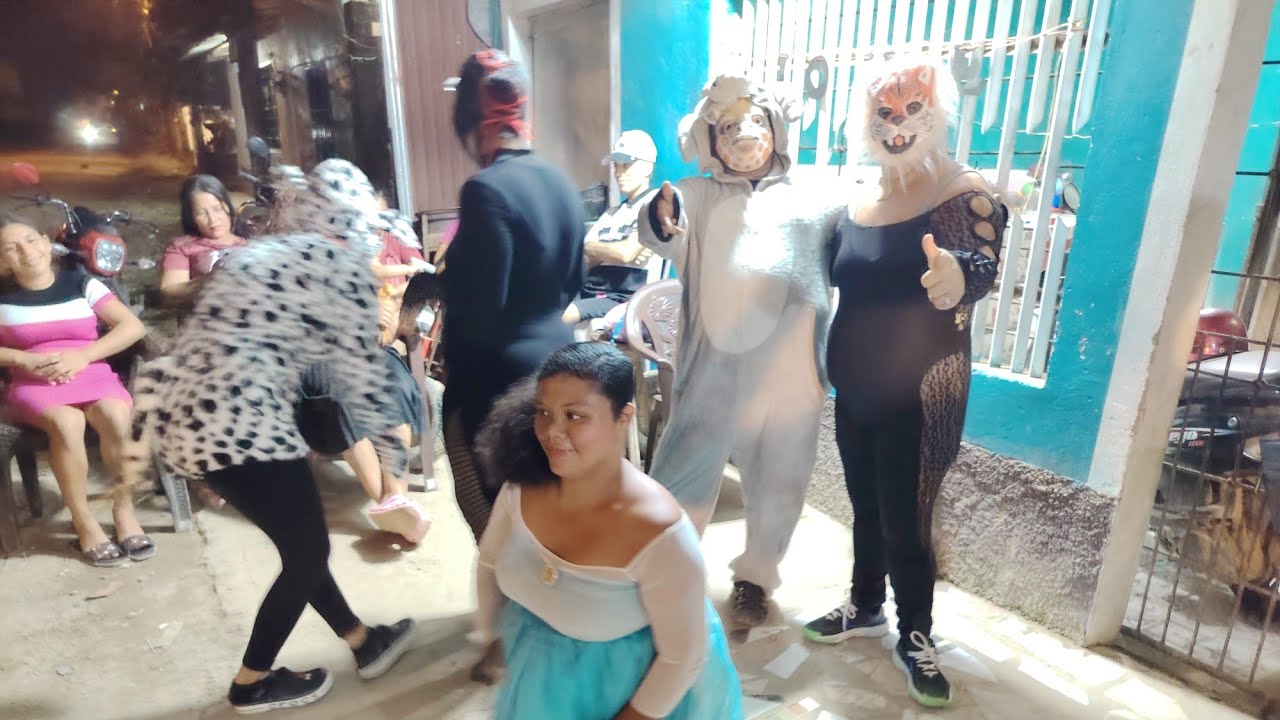 LLEGO LA TIGRITA Y LA OTRA BORRA