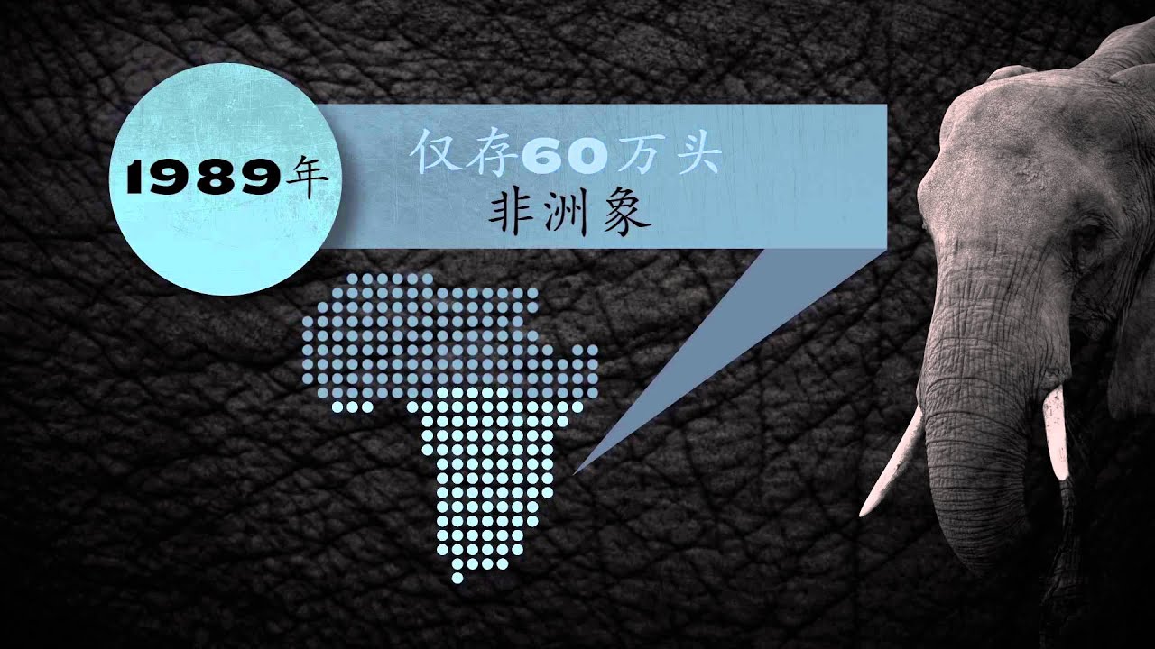Elephant Infographic (Mandarin)