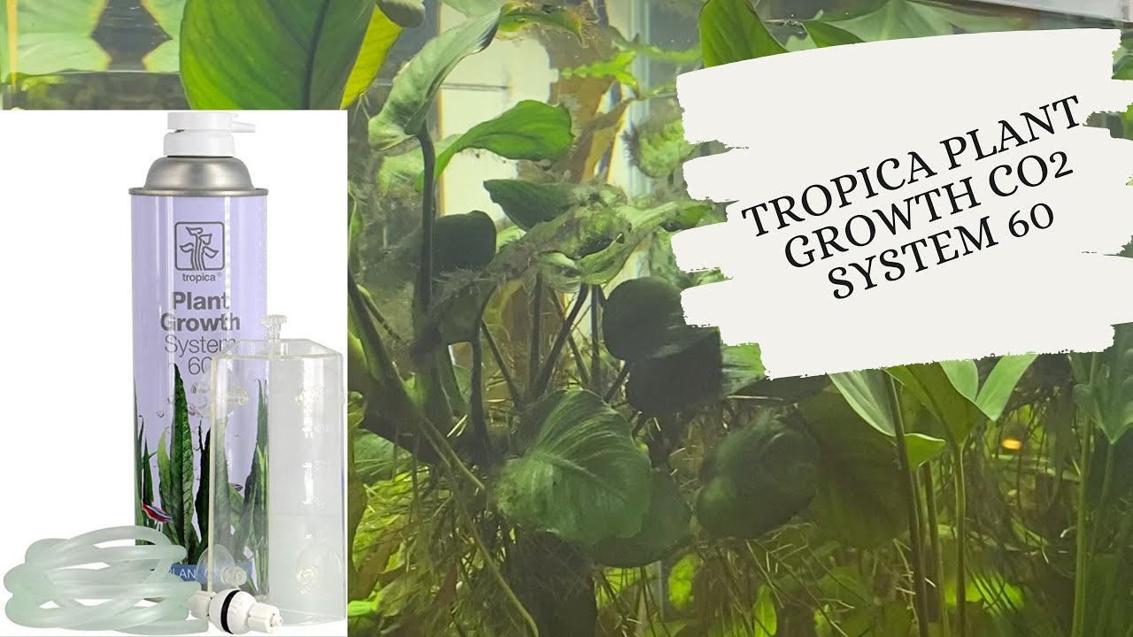 Review of TROPICA Plant Growth CO2 System