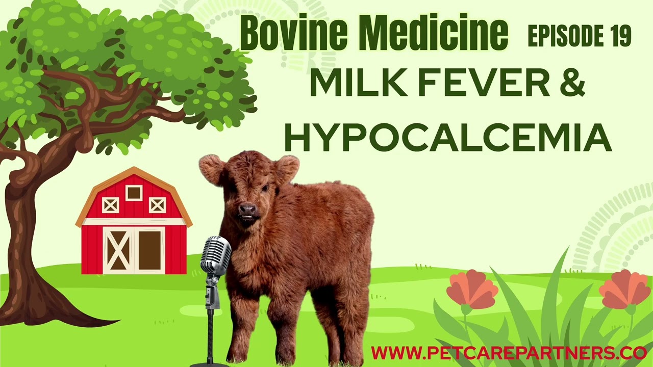 EP 19: Milk Fever & Hypocalcemia in Cows | Causes, Signs, Treatment & Prevention Explained