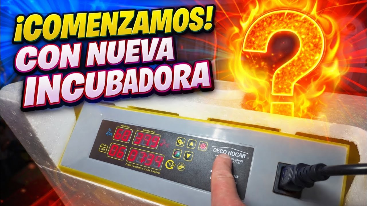 Proyecto Incubadora 🚀 | Así empezamos una temporada que promete