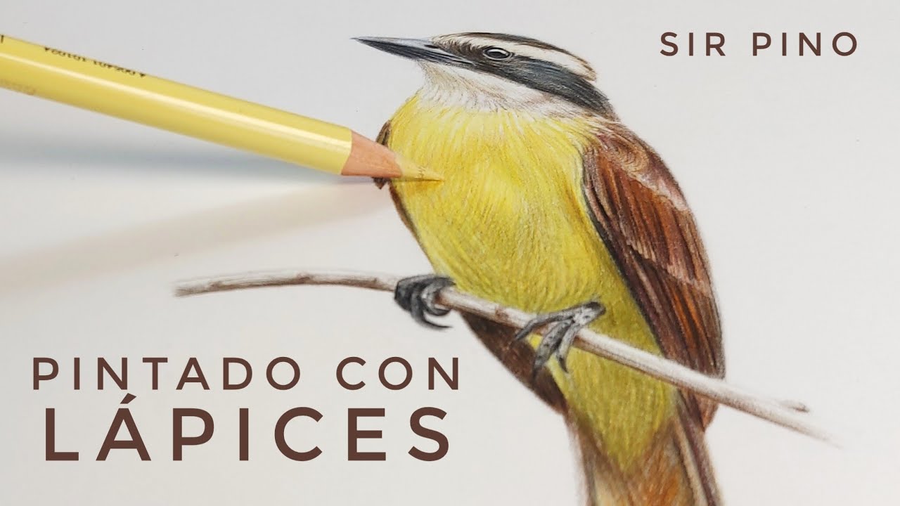 ¿Te cuesta identificar los colores y trasladarlos al papel? Te lo explico pintando