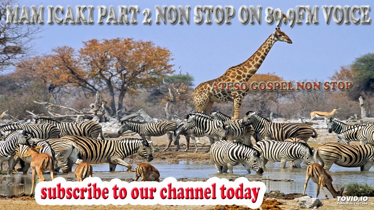 MAM ICAKI PART 2 NON STOP ON 89.9FM VOICE OF SERERE@ DJ EMMA