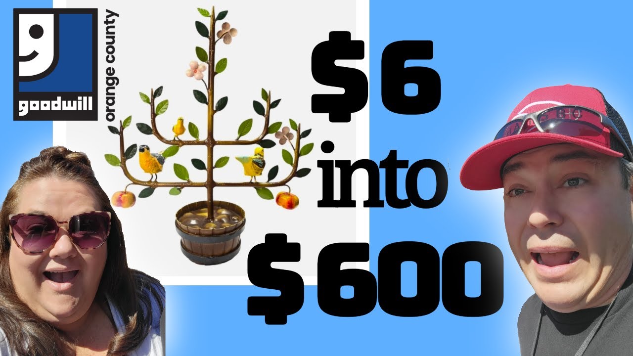Crazy GOODWILL Flip | Thrift with us