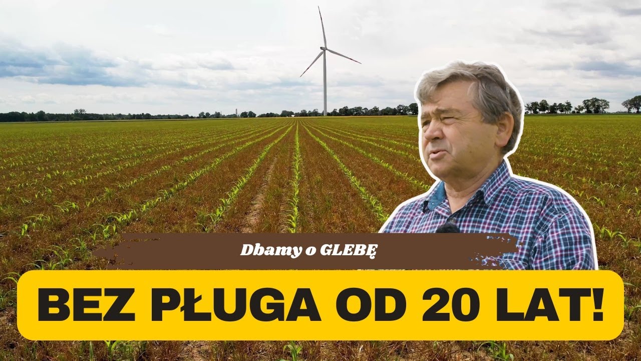 Pług sprzedali 20 lat temu, uprawiają pasowo Duro France. Michał Szymański, RSP Urbanowo | e-pole