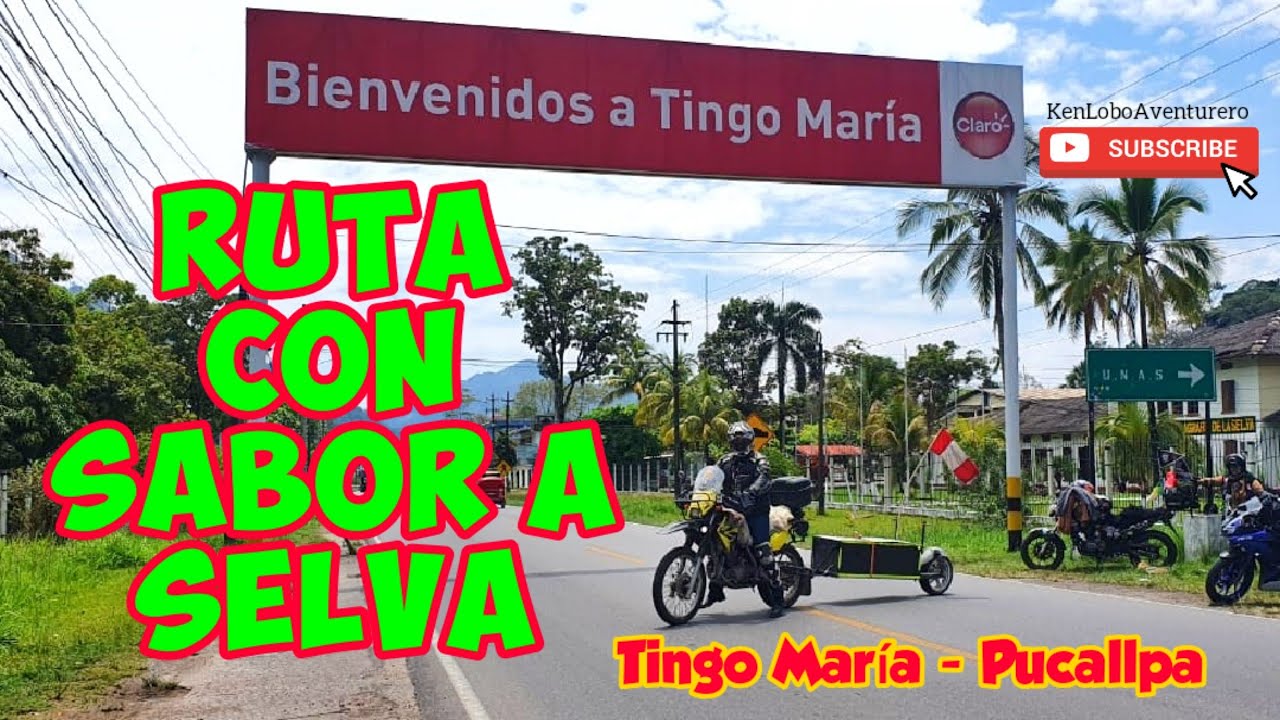 Ruta Tingo María - Pucallpa