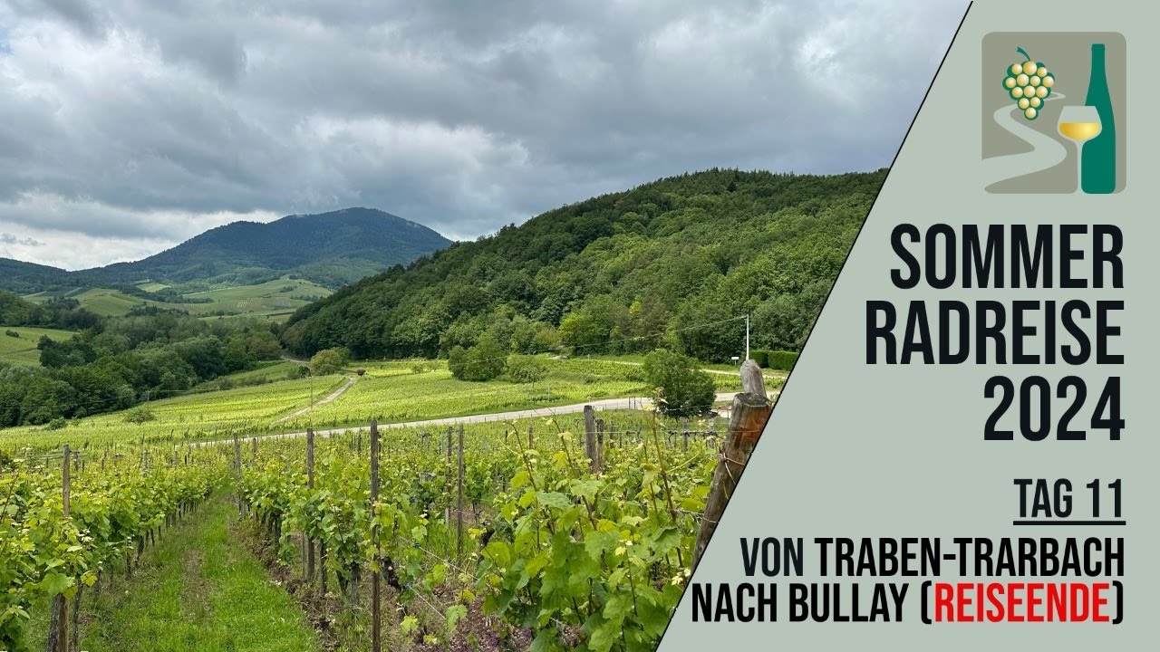 Sommer Radreise 2024 Tag 11 - Von Traben-Trarbach nach Bullay (Reiseende)