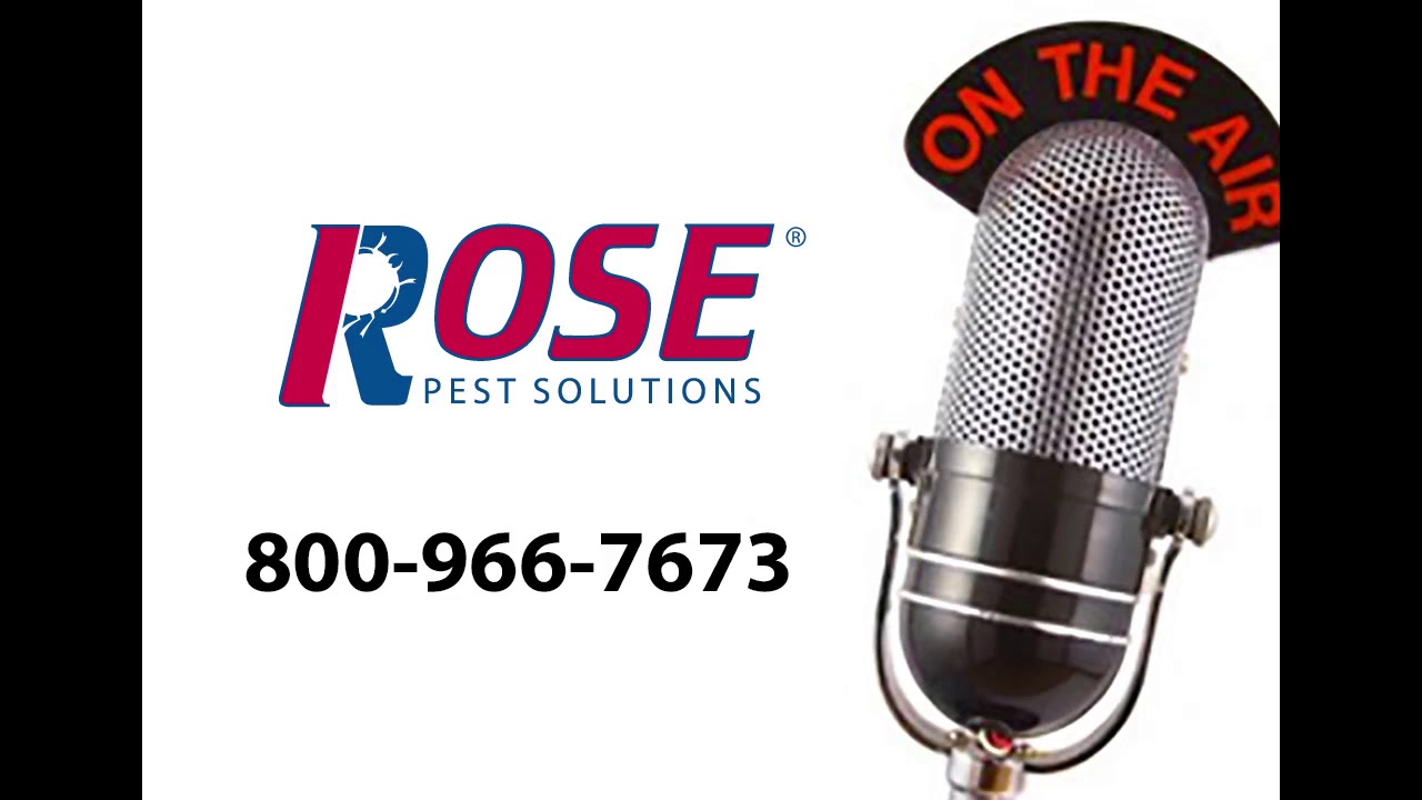 Rodent Control Q & A - Wood Radio - Grand Rapids