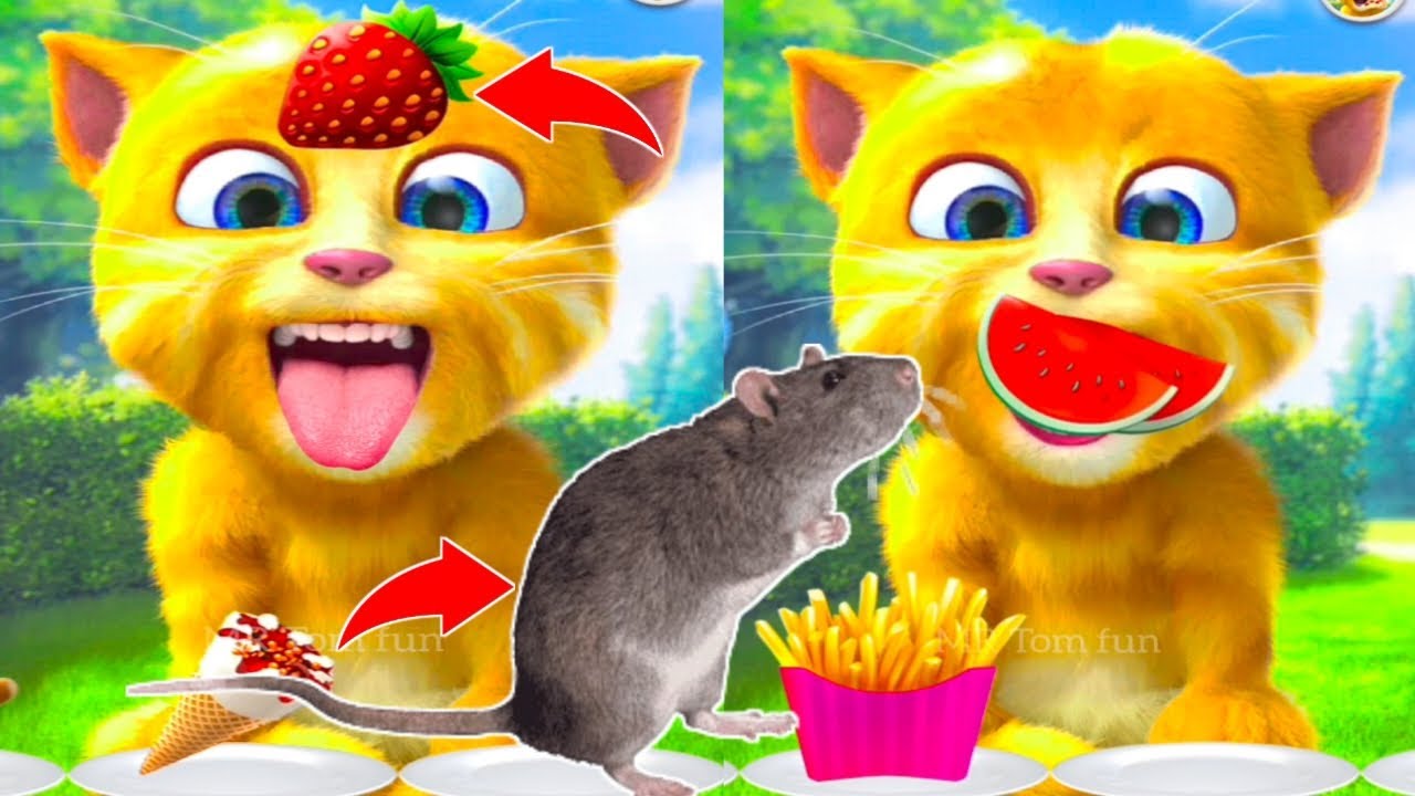 Talking Ginger Funny Videos 💯🙀 | my talking tom | talking ginger |