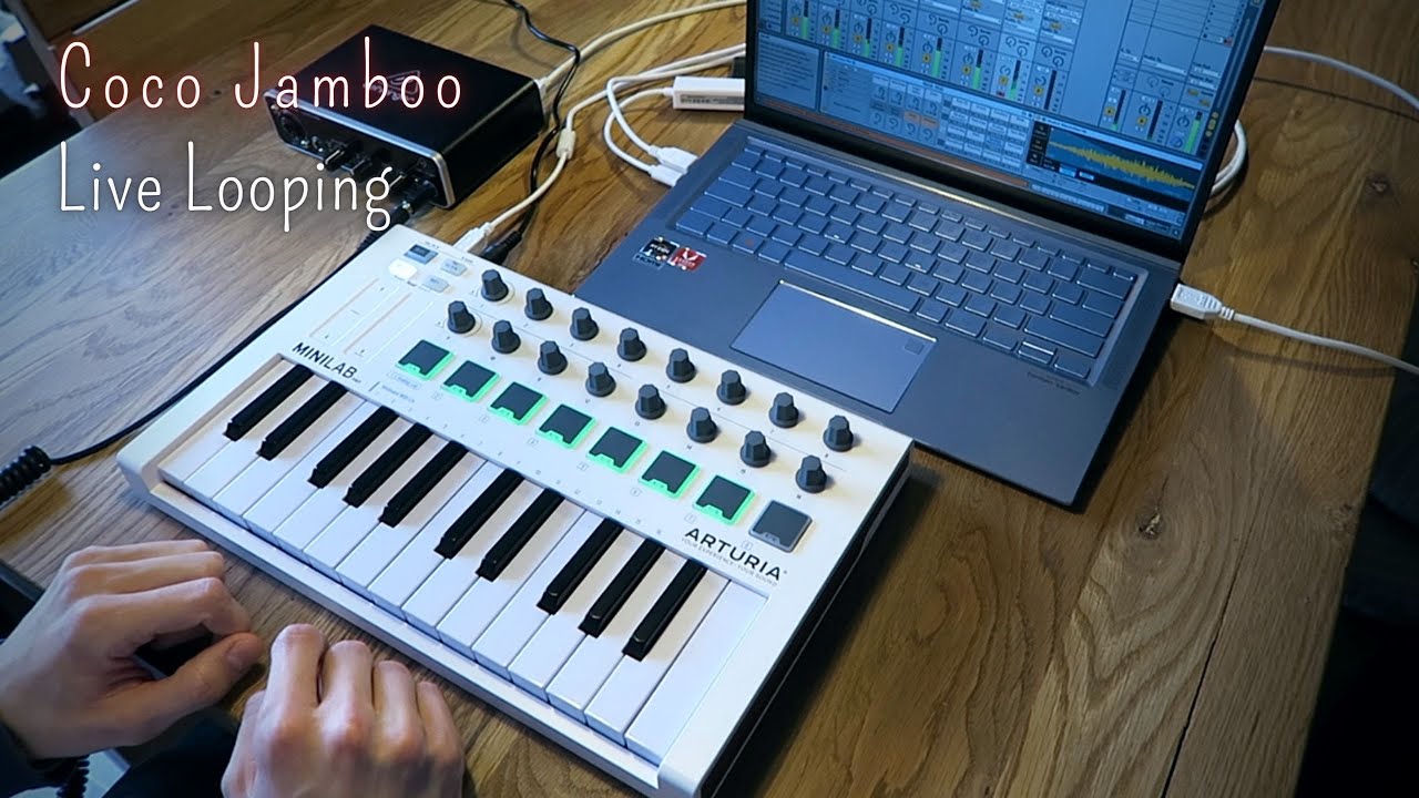 Coco Jamboo - Mr. President | Live Looping Cover | Ableton Remake with Arturia MiniLab