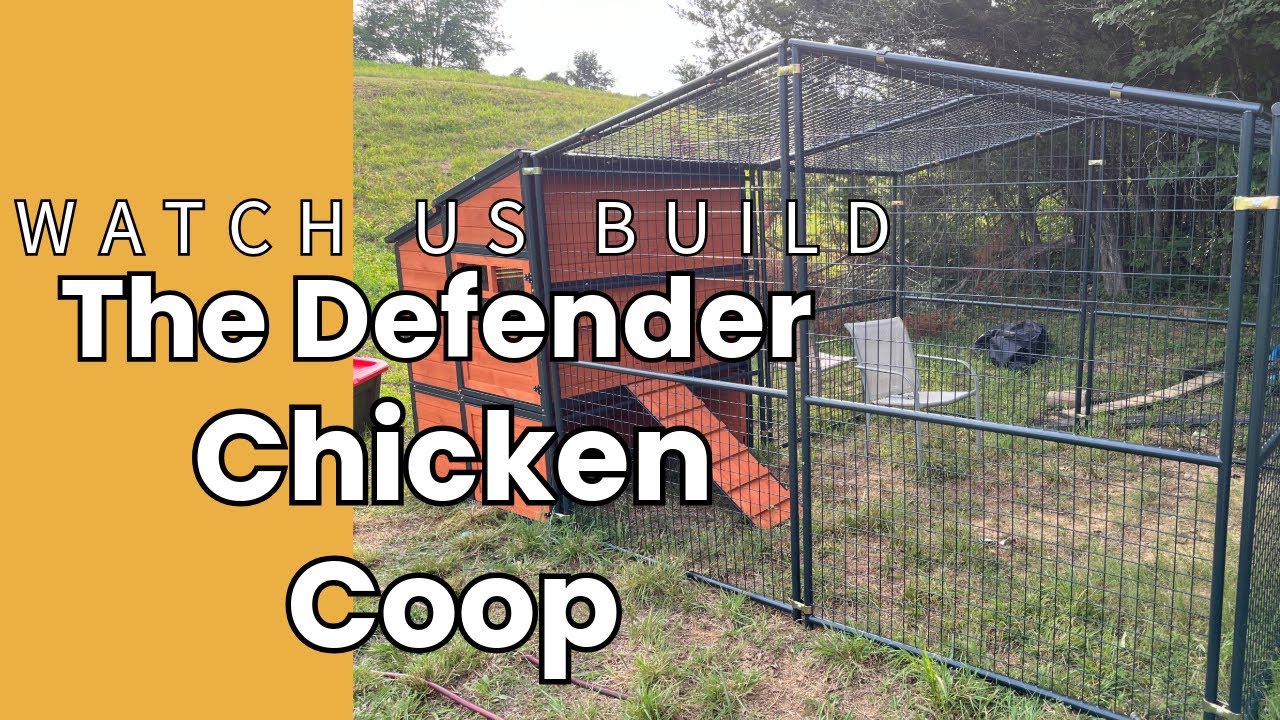 Building the Ultimate Chicken Coop: Producer's Pride Defender from Tractor Supply