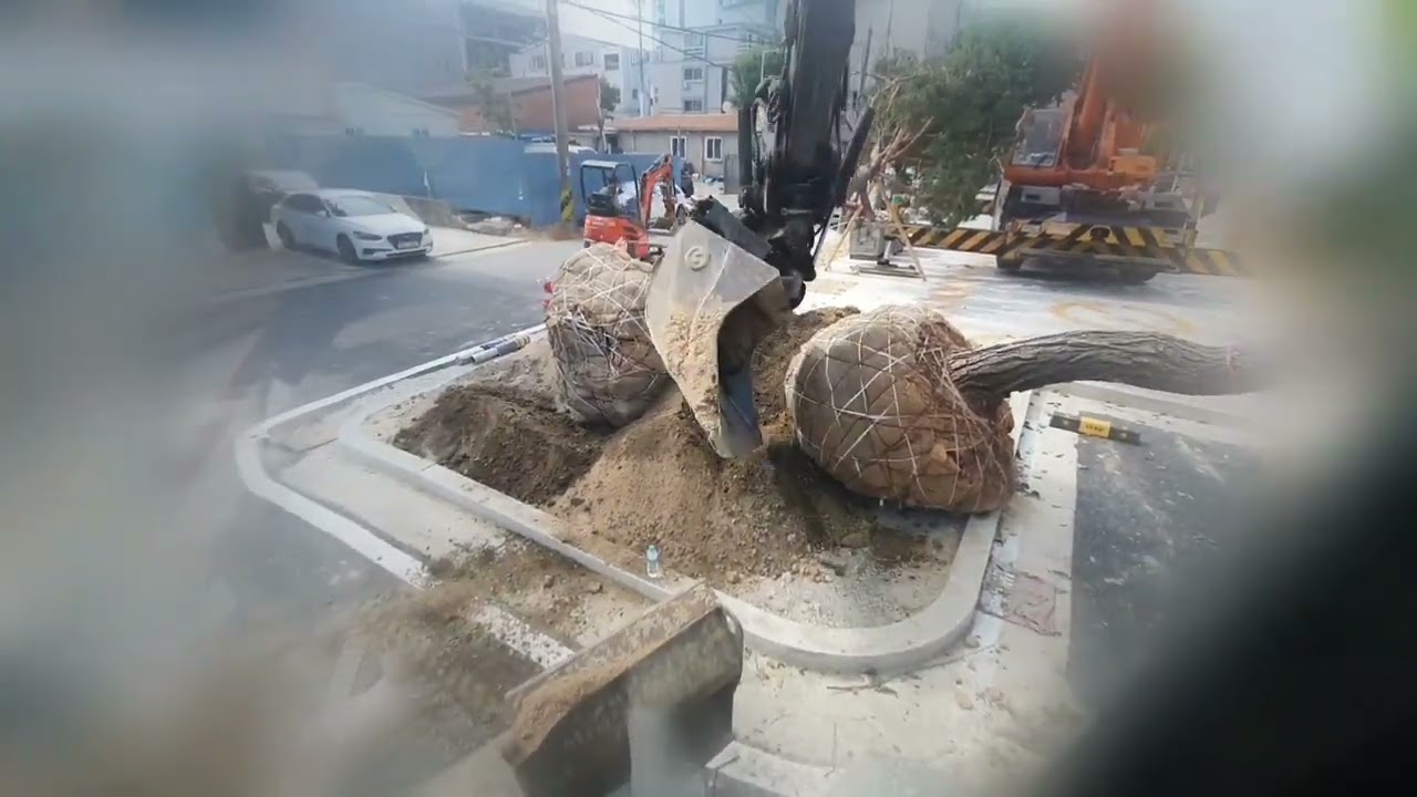식재!  제길  또 오일퀵이 겁나게 부러운날