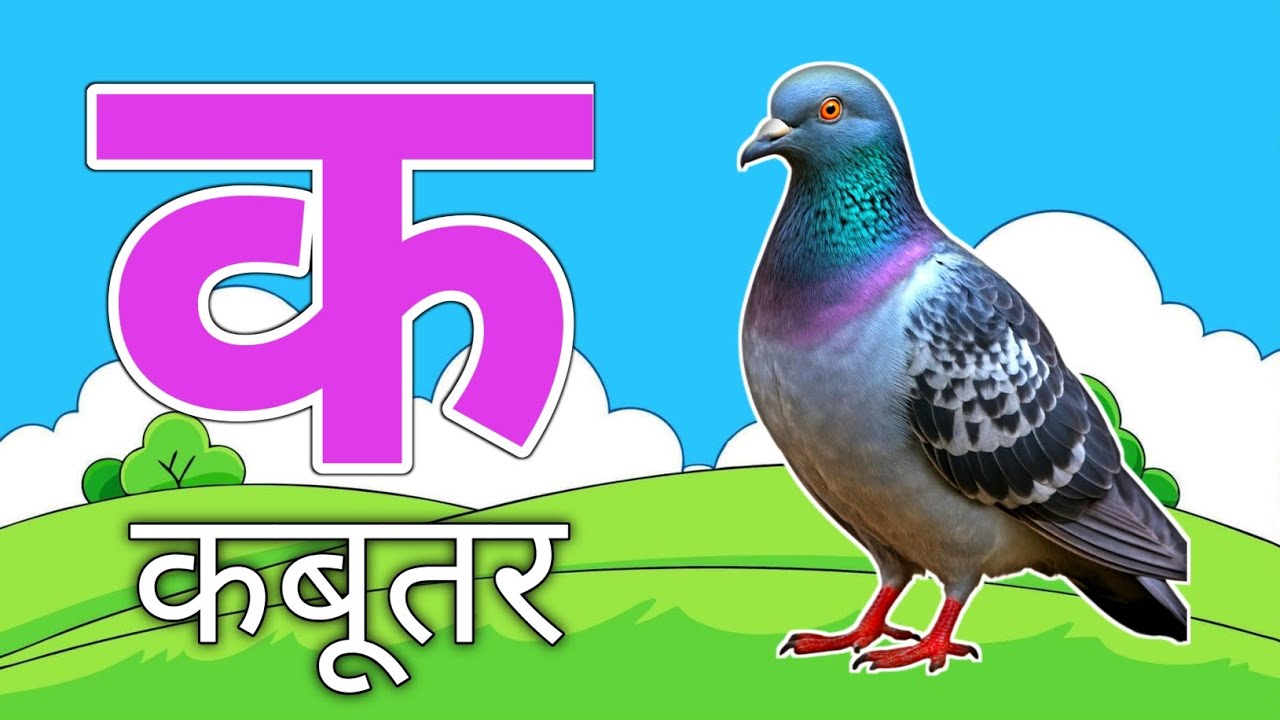 क से कबूतर, अ से अनार, k se kabutar, a se anaar, Hinid varnmala Abc larning Video ||