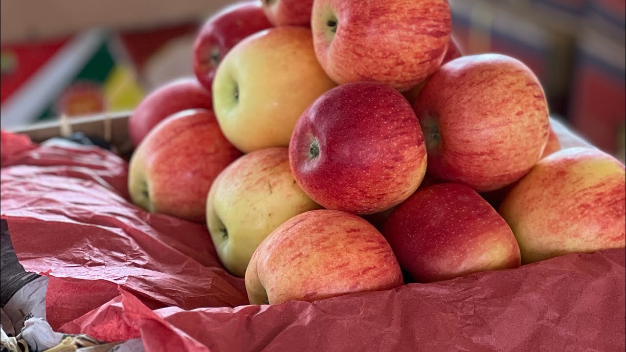 Apple market of Multan rate update daily 17august 