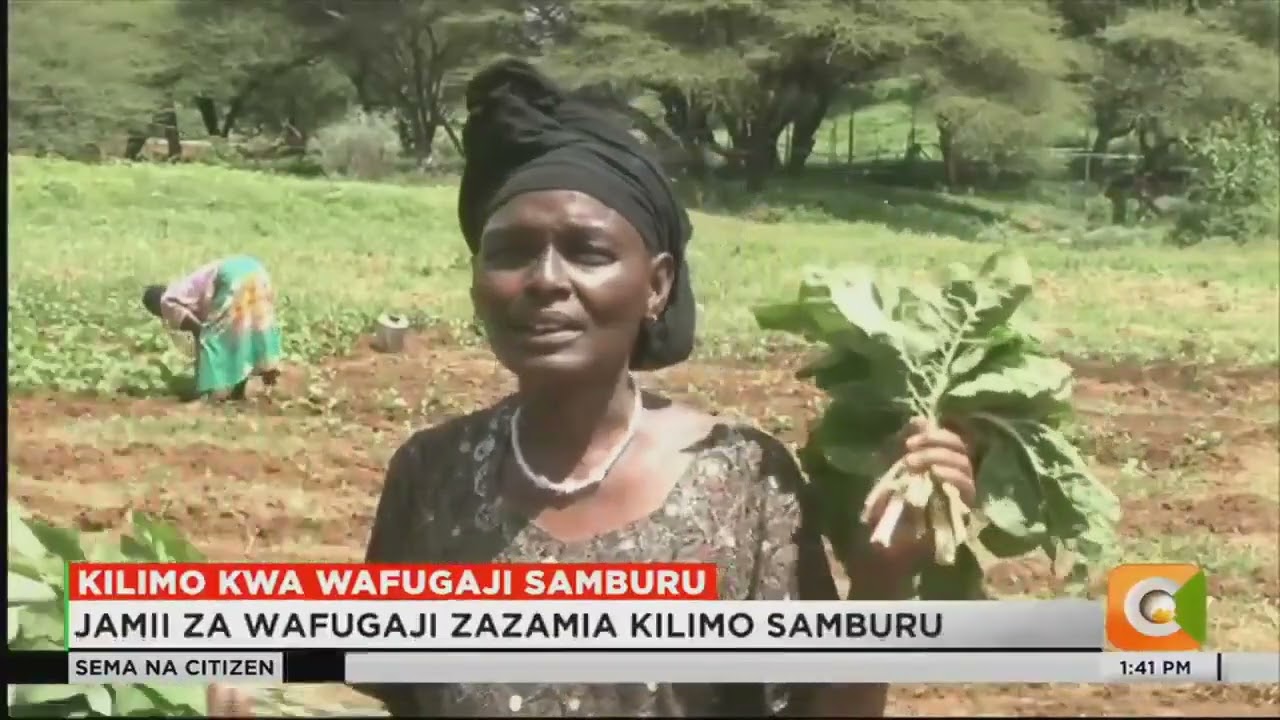 Samburu Women Trust - Our Member Organization in Action