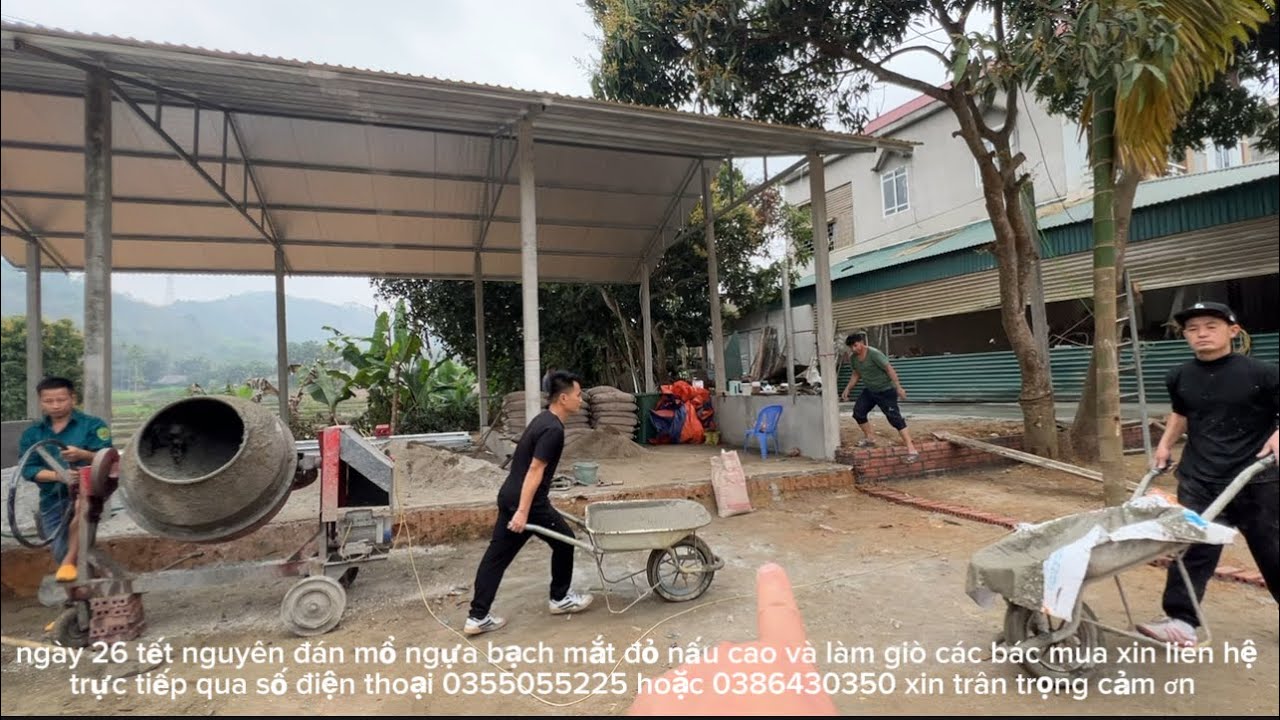 A TUYẾN về quê nghỉ tết nguyên đán và những mẻ bê tông cuối cùng của năm #gaiban #tiếnggọivùngcao 