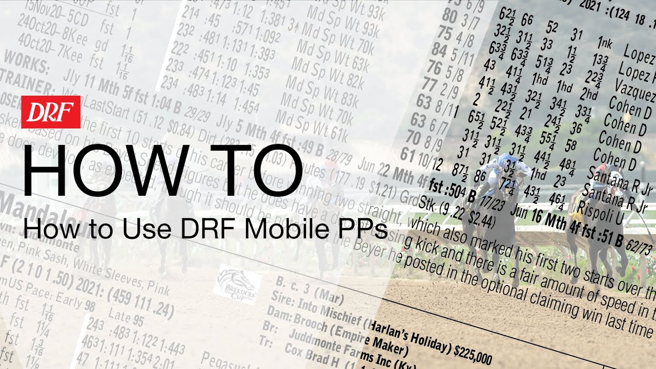 Как использовать мобильные ПП DRF