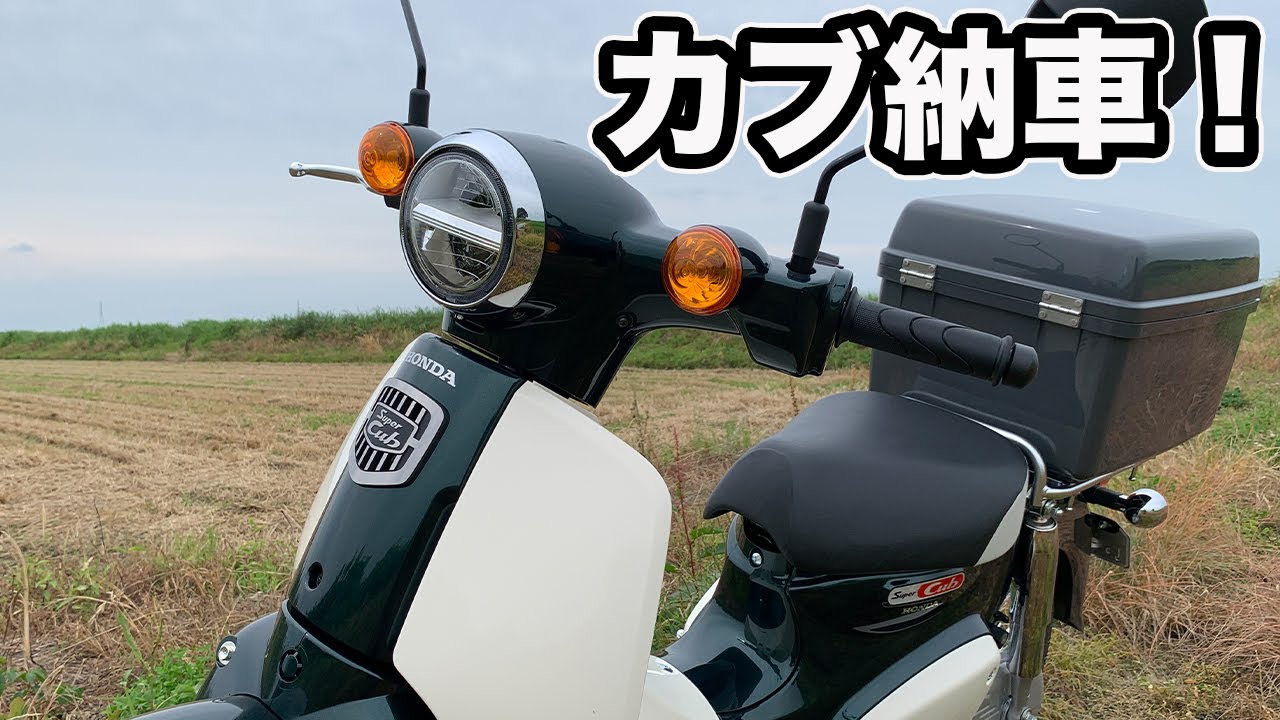 スーパーカブ50 納車！  【バイク初心者   カブ日記  カブ主  アニメ】