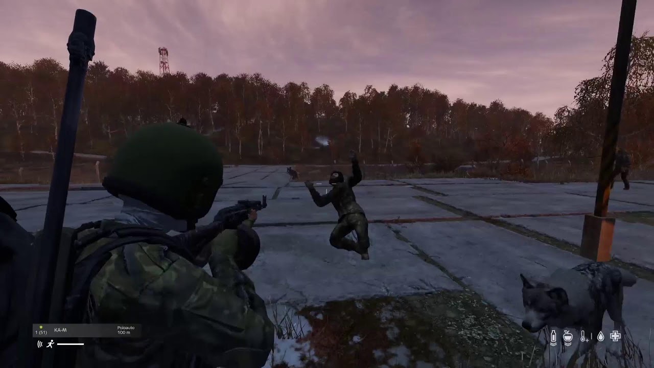 DayZ stream [CZ]