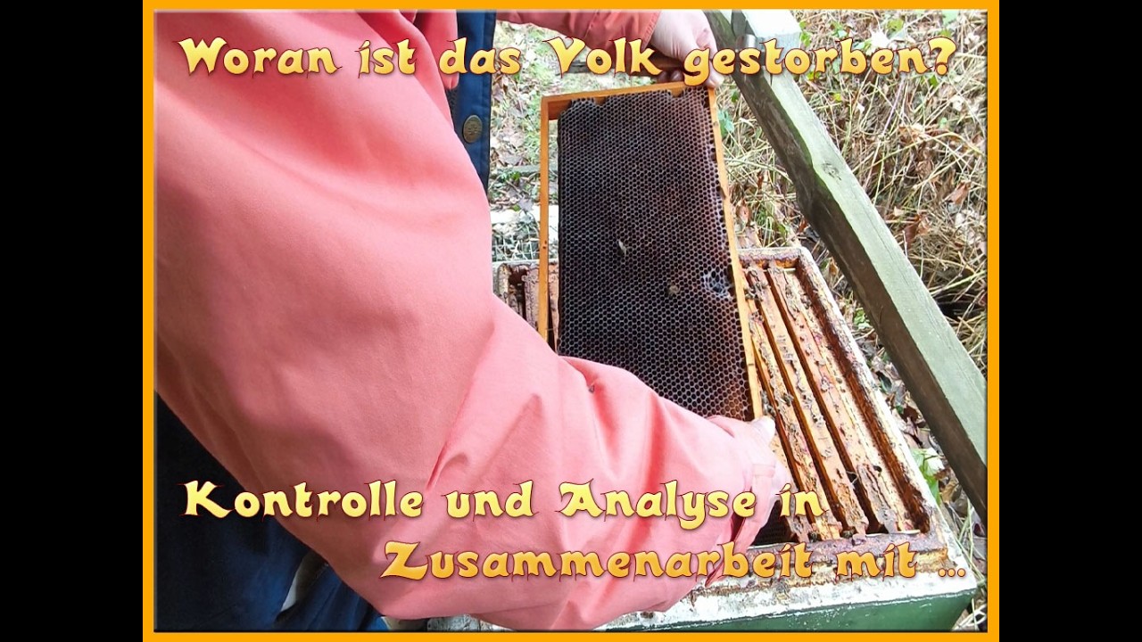 Woran ist das Volk gestorben? In Zusammenarbeit mit ... #imkern #bienen #bee #beekeeping