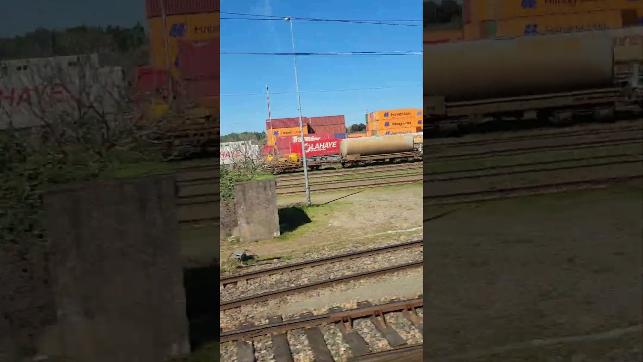 traxx EURO CARGO et classe 66 DB sur le naviland Rennes V&eacute;nissieux, wagon couvert,tr&eacute;mie