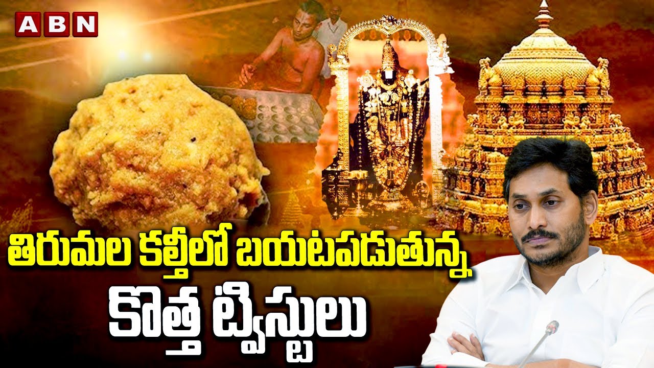 తిరుమల కల్తీలో బయటపడుతున్న కొత్త ట్విస్టులు | New Twist In Tirumala Laddu Issue | ABN