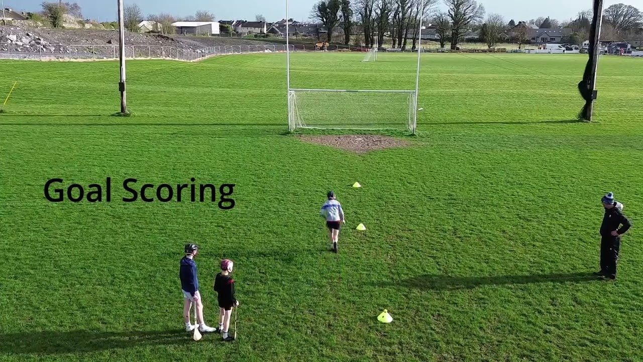 Primary Schools Hurling Skills Video Explainer