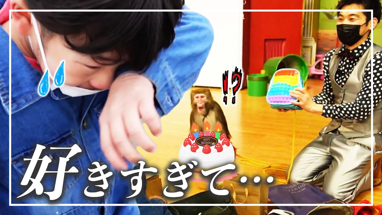 お猿のカイくんに『誕生日プレゼント』を持っていったら…感動で息子が泣いた日😢【プーキーズさん★コラボ動画】