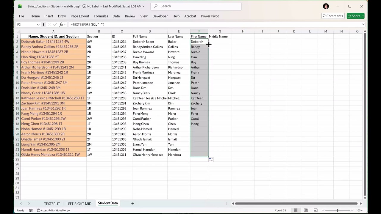 StudentData
