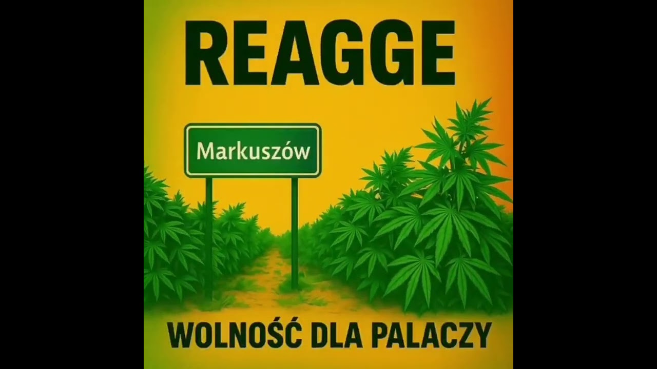 MKW REGGAE - ZIELONY SUSZ (EDITED)