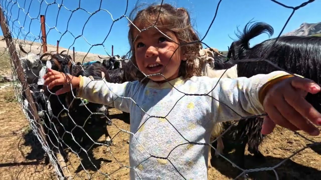 Zeynep'in Masum Dünyası -  Buzul Gölünde Yüzmek - Karagöl Kampı