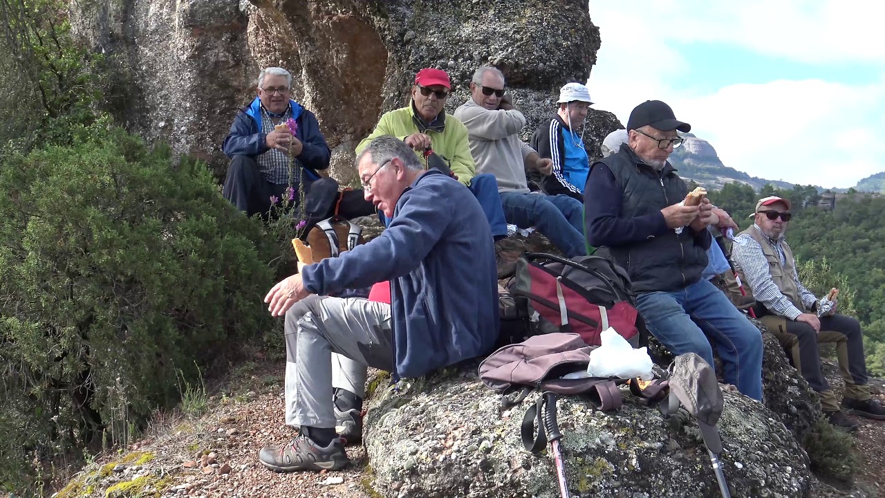Ocell de Pedra II Llogari Droguet
