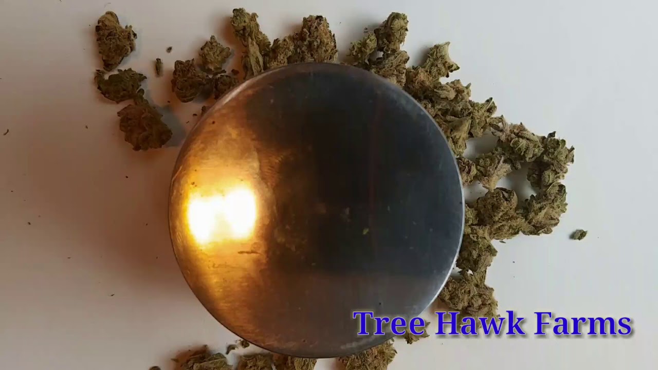 Tree Hawk Farms Northwest Pineapple legal weed cannabis 420 Diablo Review