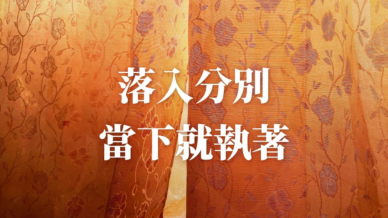 落入分別，當下就執著｜執善｜排斥惡才會在善這個地方，而排斥本身，是不是在揀擇裡面？｜隆禪法師