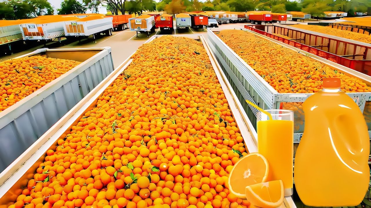 你知道工廠是如何制造橙汁的嗎？工業化生產橙汁的真相曝光！ #制作 #生产 #工厂揭秘 #制造过程 #工业技术