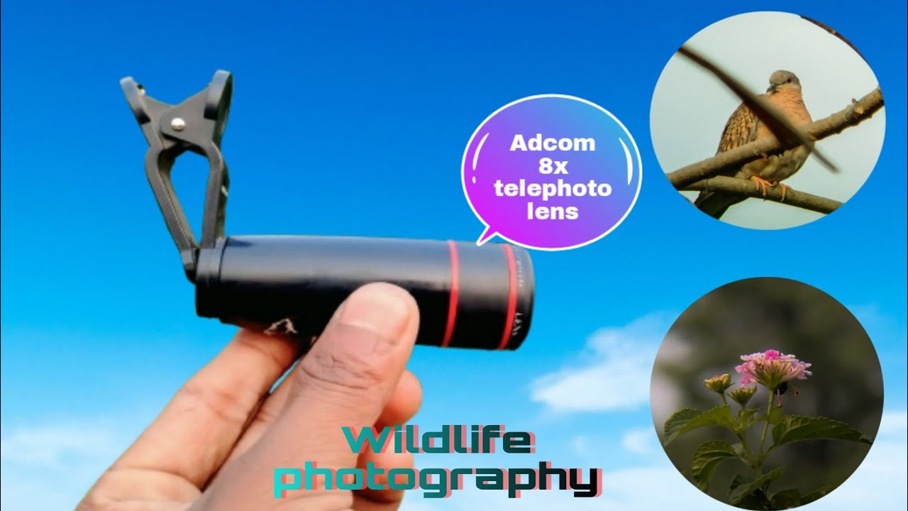 Adcom 8x telephoto lens review / wildlife nature & Bird Photography #trending #viralvideo