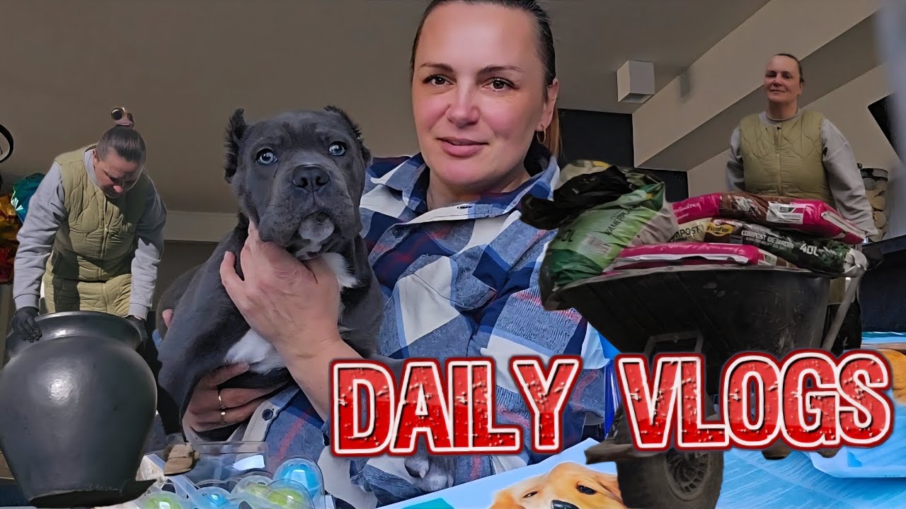 Poznajcie Kosmo, sadze róże,zakupy z Action, codzienny vlog