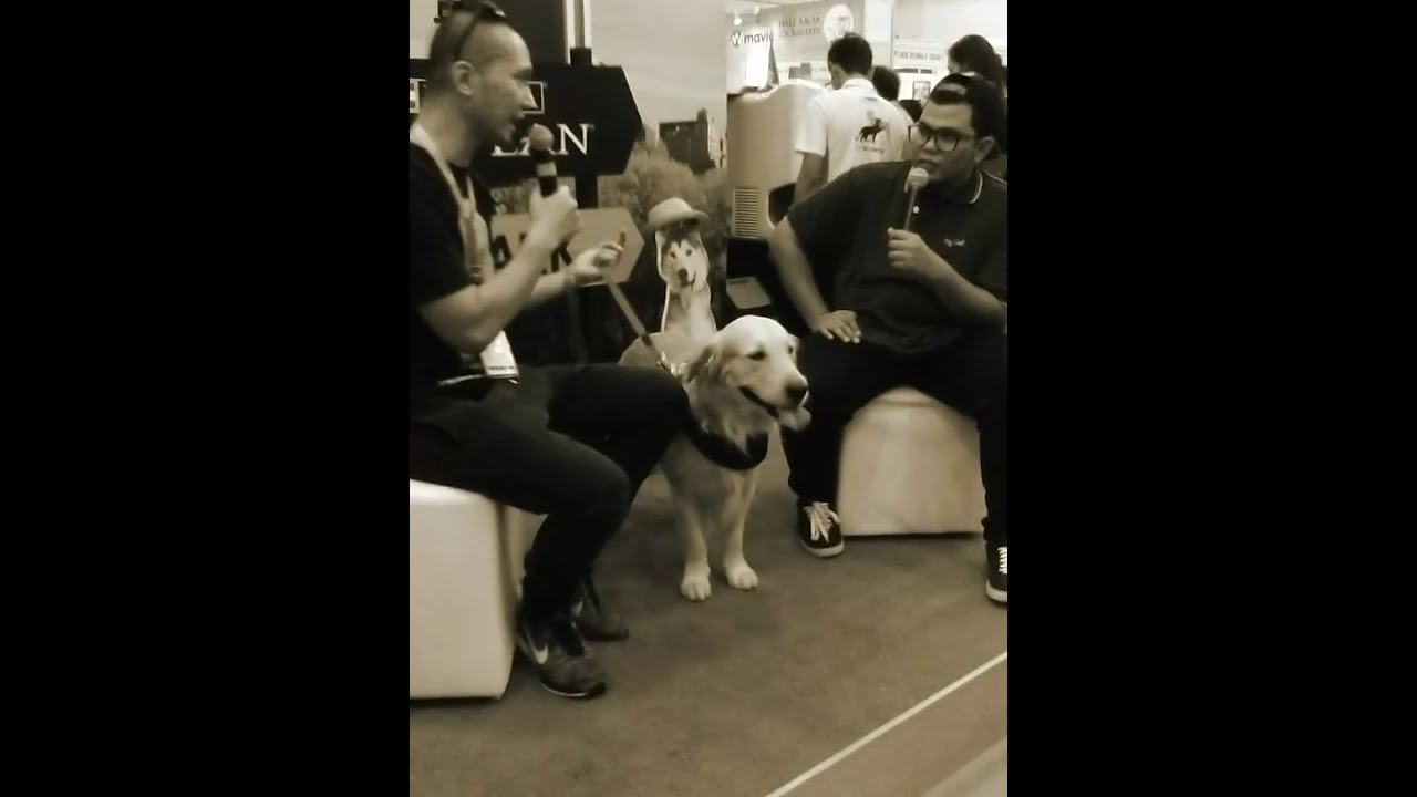 Second meet Snoweethegolden