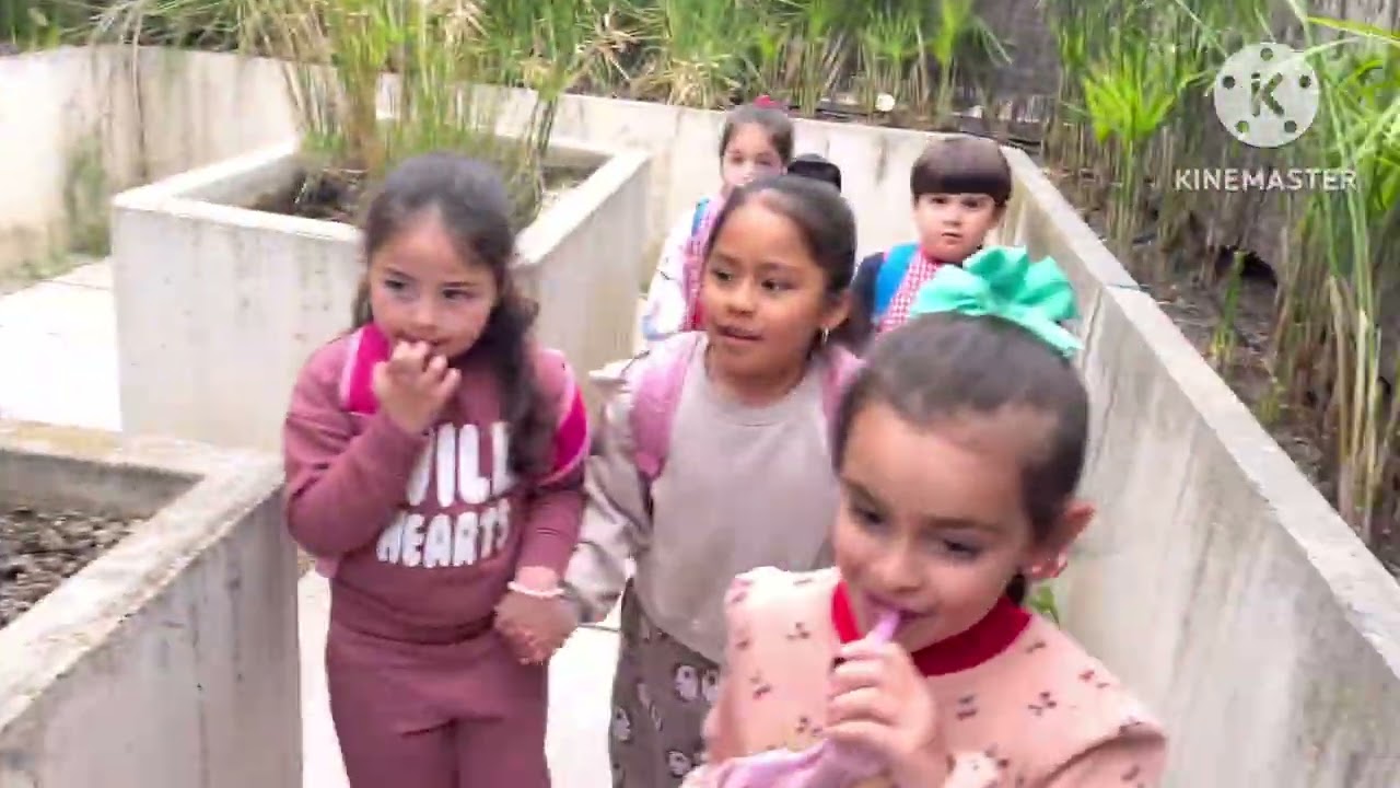 Visita al Parque de las Ciencias 🧪🐒🐟
