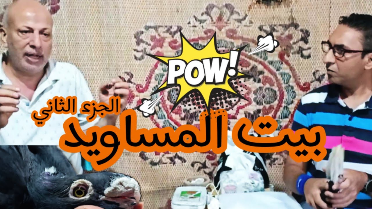 بيت المساويد الجزء التانى من سطح الحاج /عبد الحميد فؤاد