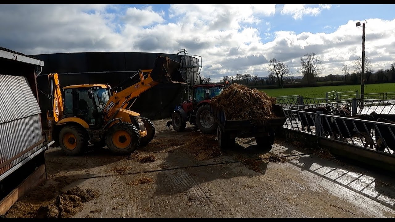CLEANING OUT THE CALVING SHED!!!