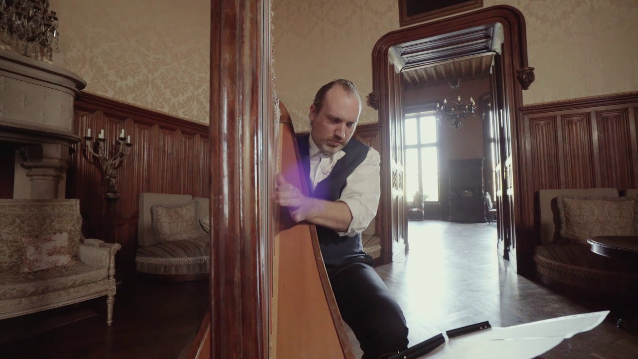 A sky full of star / Coldplay / Harp Cover by François Pernel