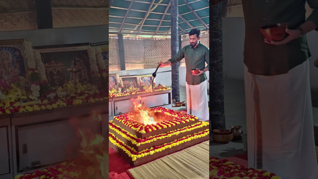 అమావాస్య తీర్థం వ్యాధి నిరోధక శక్తిని పెంచుతుంది #trending #ayurved #drdadhes #latestshortsvideos