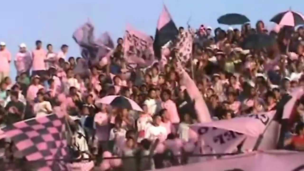 VAMOS VAMOS MISILERA - JUVENTUD ROSADA♪♫